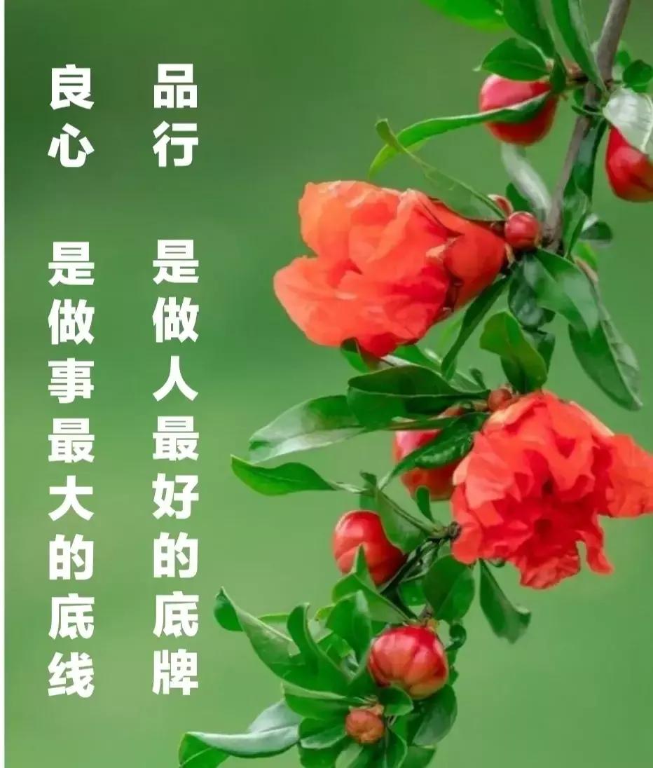 善良正能量的句子经典(有深度有品味的句子)_力贝号