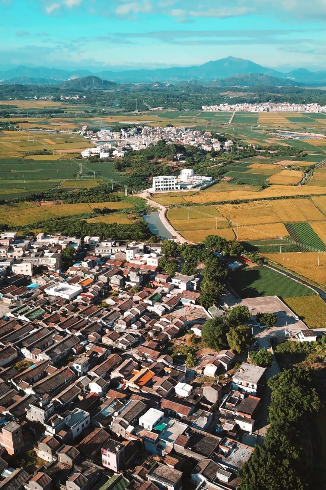 离深圳1小时！广东这2座城市，环境好，物价低，很适合避寒养老