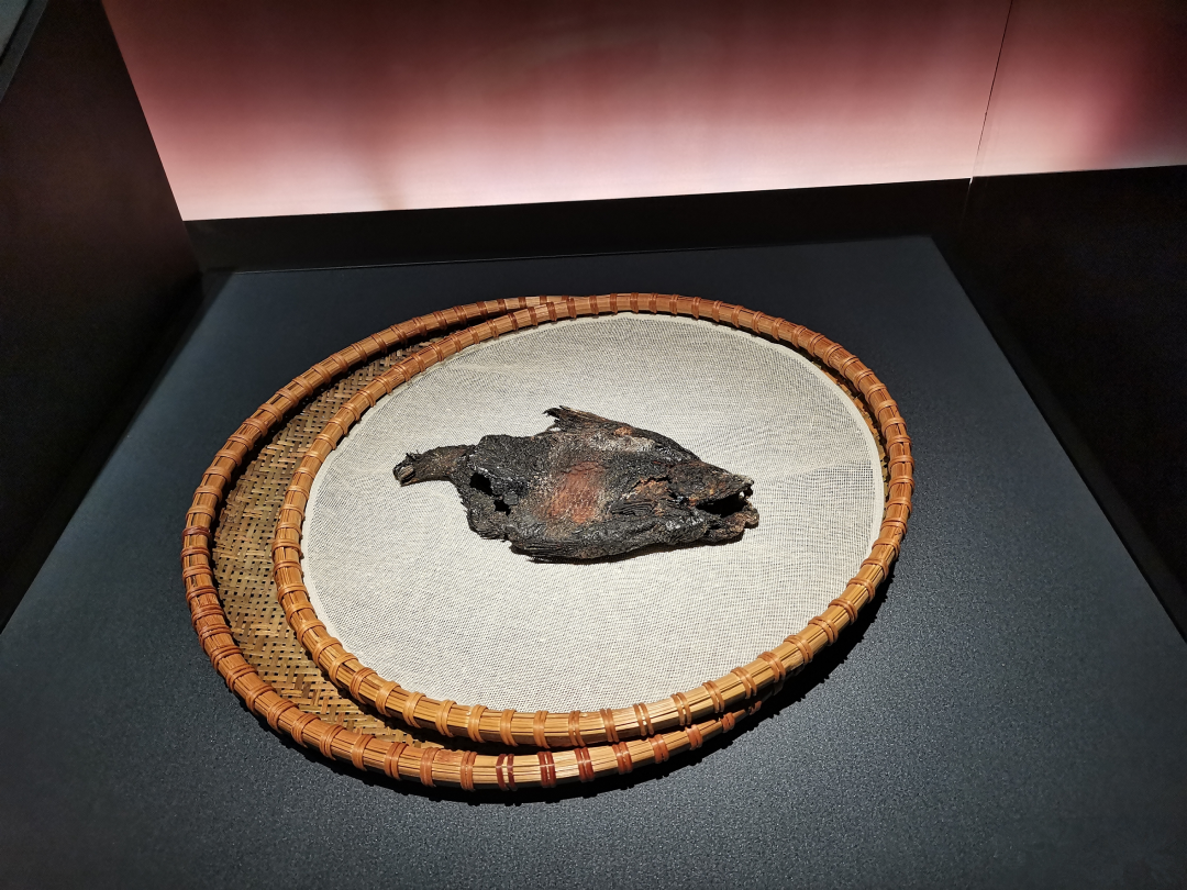 博物馆惊现2400年前的咸鱼，有梦想谁都了不起