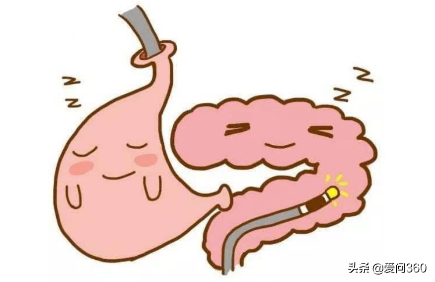 这几种食物对胃的伤害很大，养胃小妙招你学会了几个？