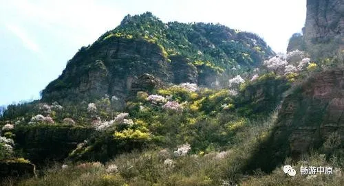 春暖花开的时节,在河南踏青游玩,不妨看看这十个地方