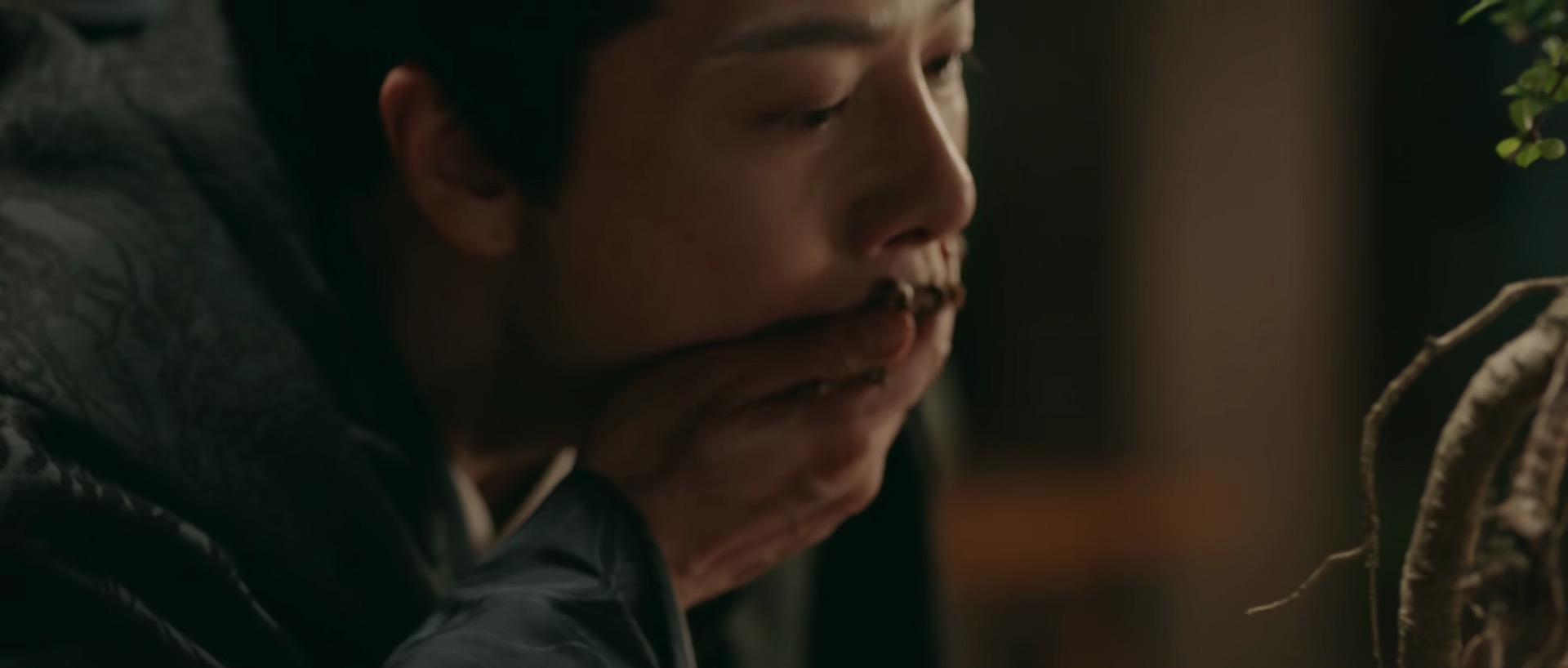 《梦华录》各位主演的星座原型揭晓！来看有你的星座吗？