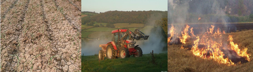 农业温室气体占我国总量24%！河南科学家为棉花“减碳”，引发国际关注！