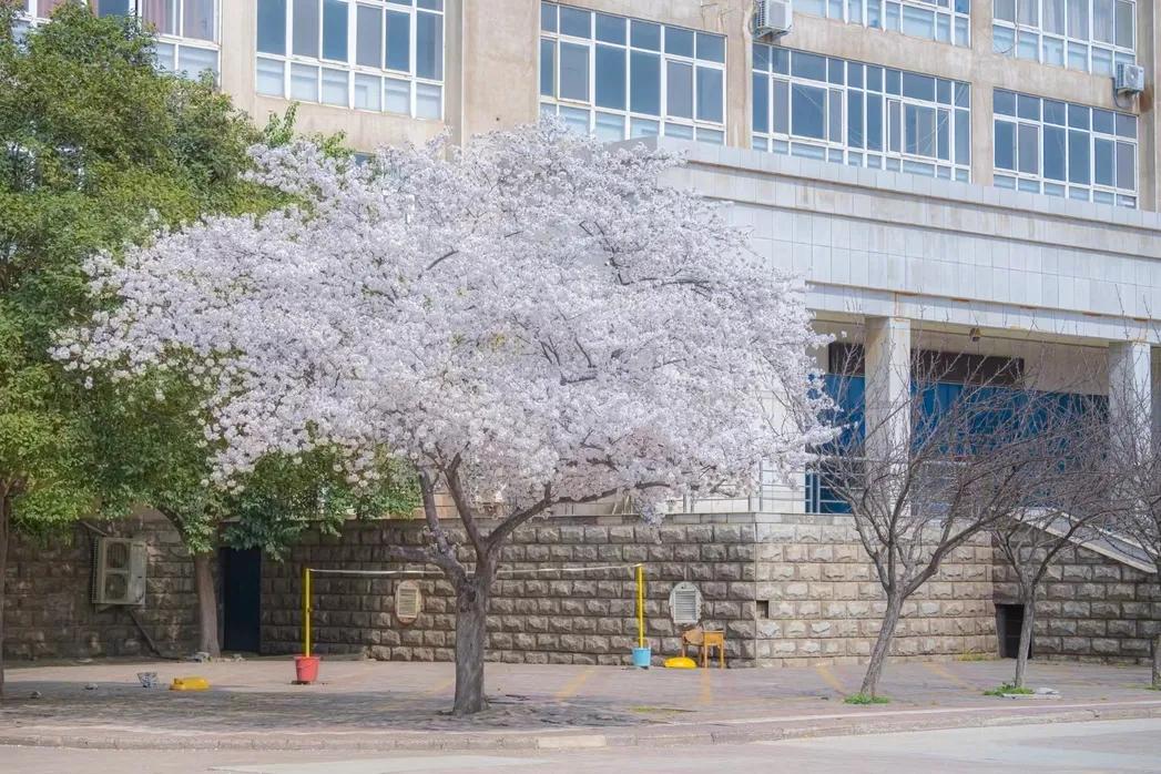 河南科技大学西苑校区河南科技大学西苑校区宿舍