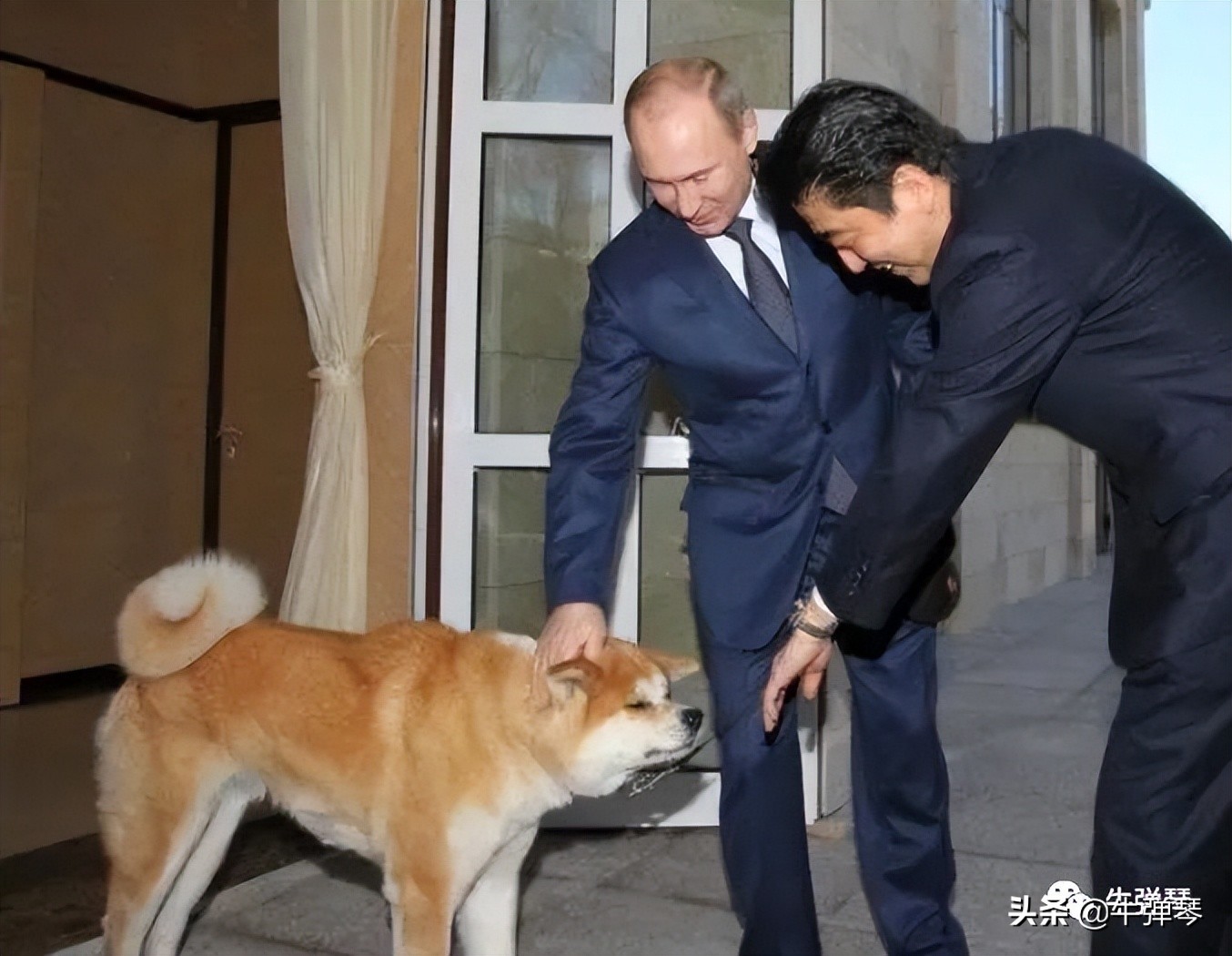 普京出狠手后，俄罗斯的这两个邻国沉默了