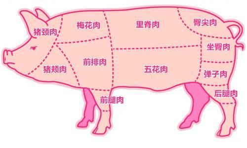 世界上食用量最多的10种动物肉