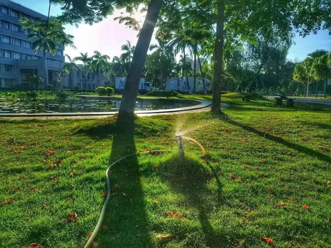 实力！海南大学“宝藏学院”：所开专业均是一流，相关人才备受青睐