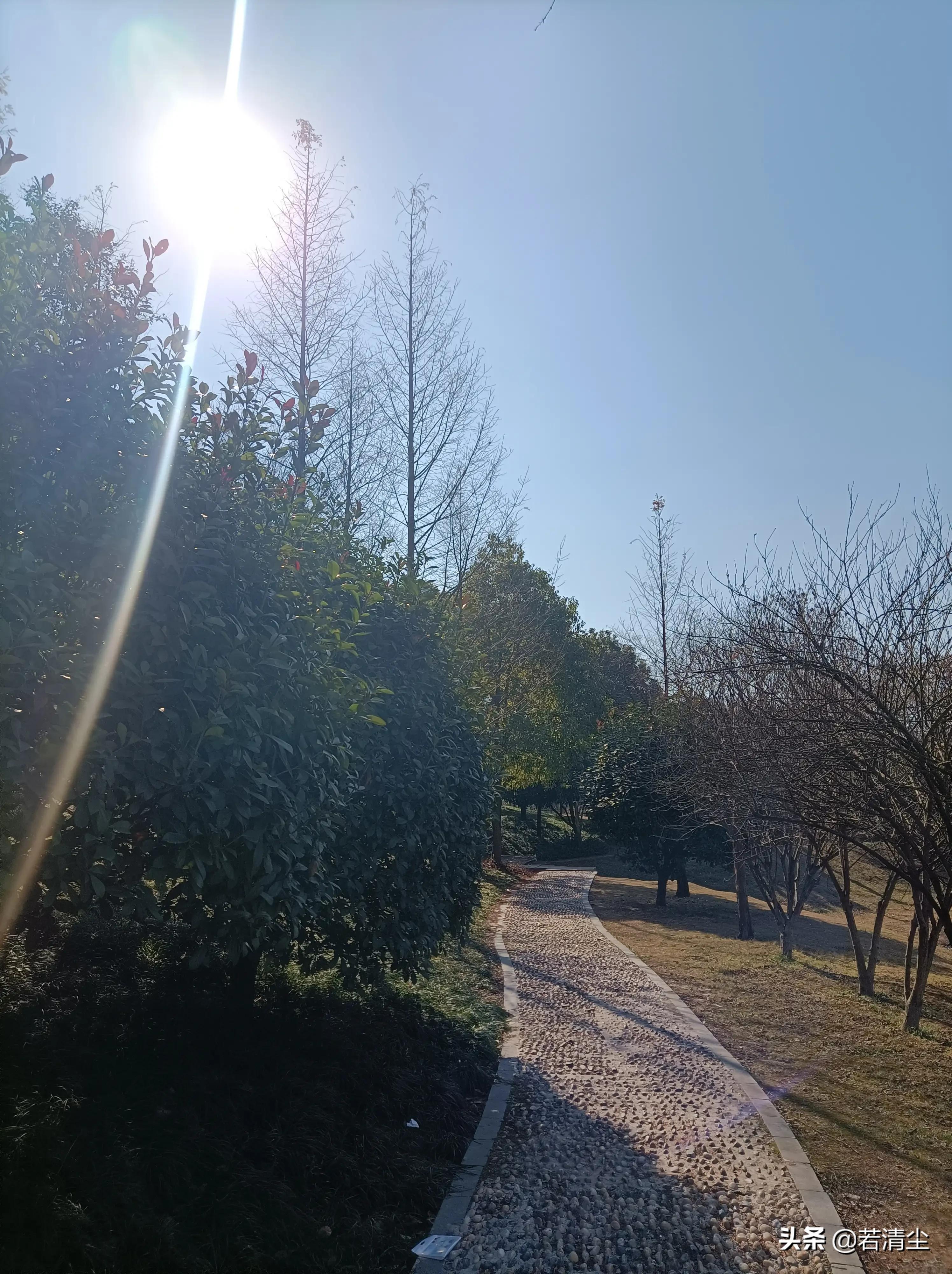 尘路过往归于尽，依心复始生如叶（文/若清尘）