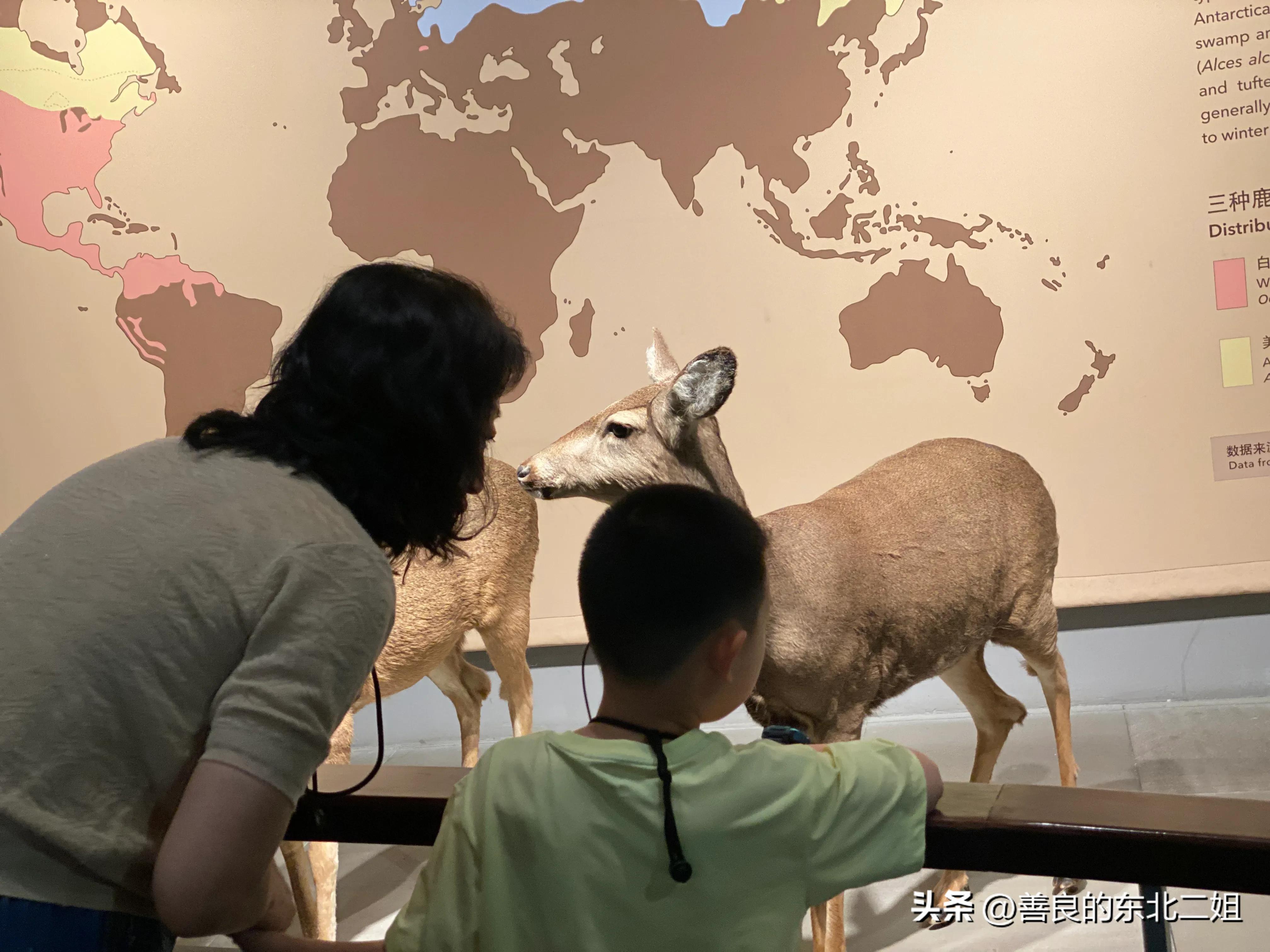 老阿姨和外孙的上海之旅：童眼看上海
