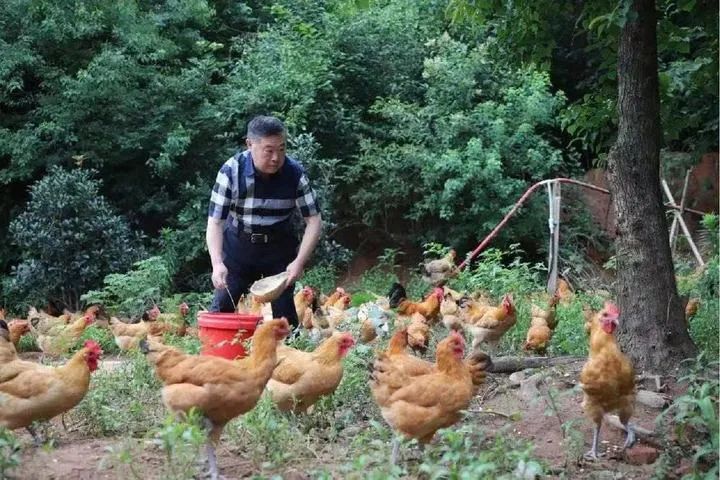 这个安徽“最潮60后”,靠一碗汤一年卖了40亿