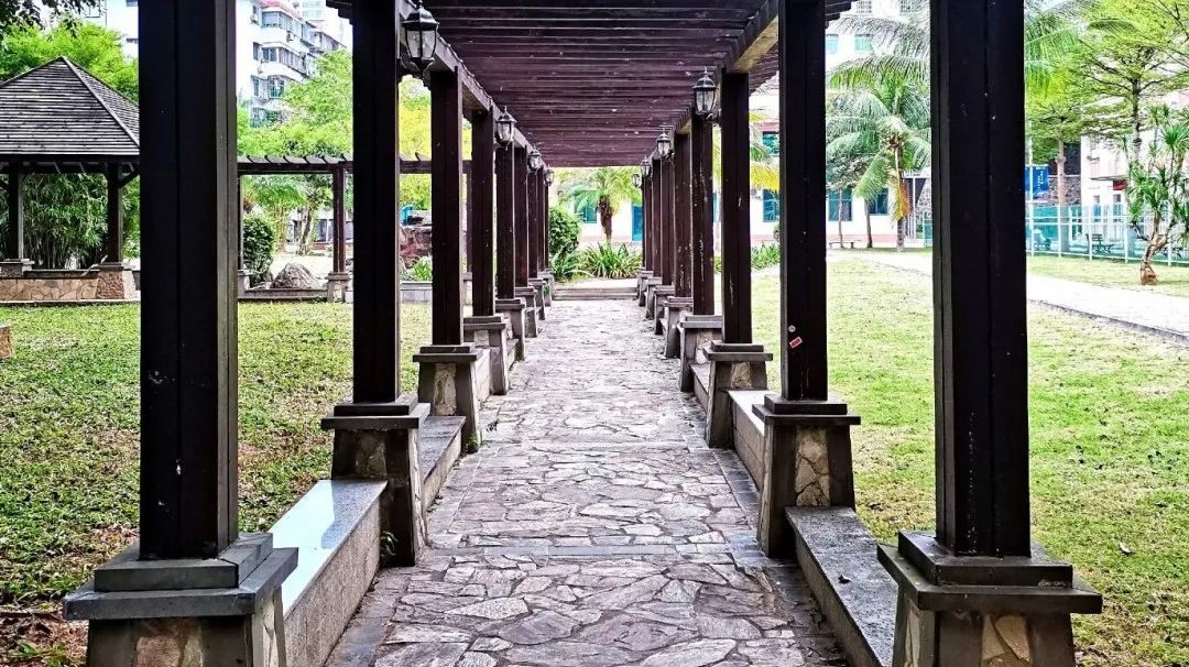 视觉盛宴！海岛风光惊艳众人，这些藏在一流大学中“打卡地”火了