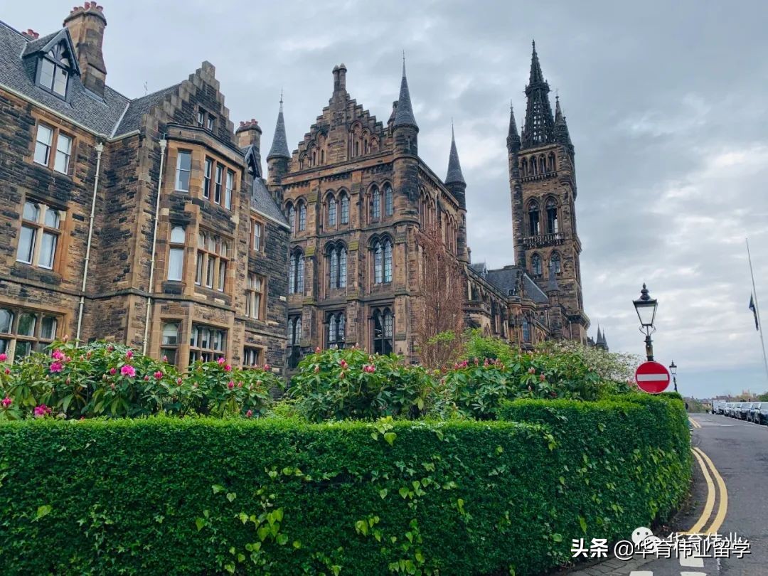 英国硕士毕业后我回国进央企做HR，负责校招的我想给你一点忠告