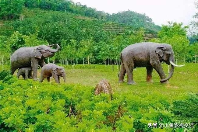 里克·奥巴瑞现状(《海豚湾》纪录片告诉你，日本人的守小节而无大义)