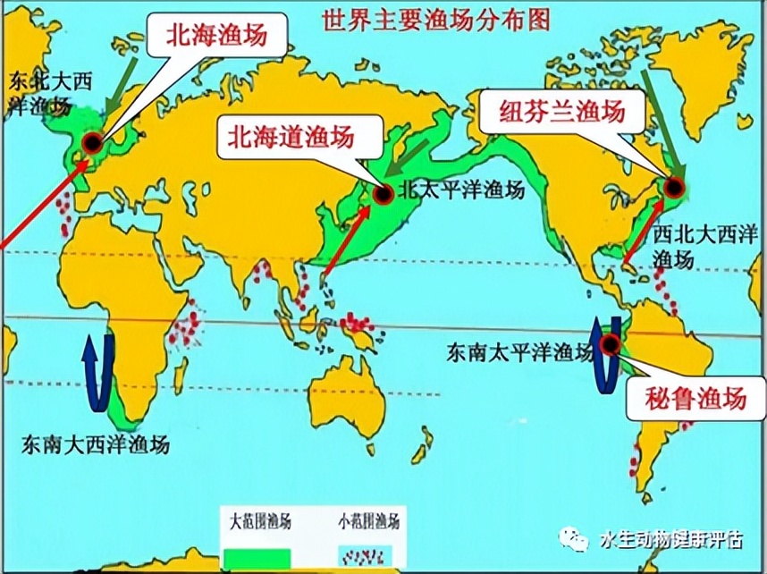 北海道渔场（北海道渔场盛产的鱼类）-第2张图片-昕阳网