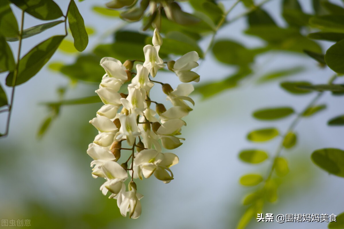 春末夏初，建多吃2豆2蛋2果，，家人健康，平安入夏