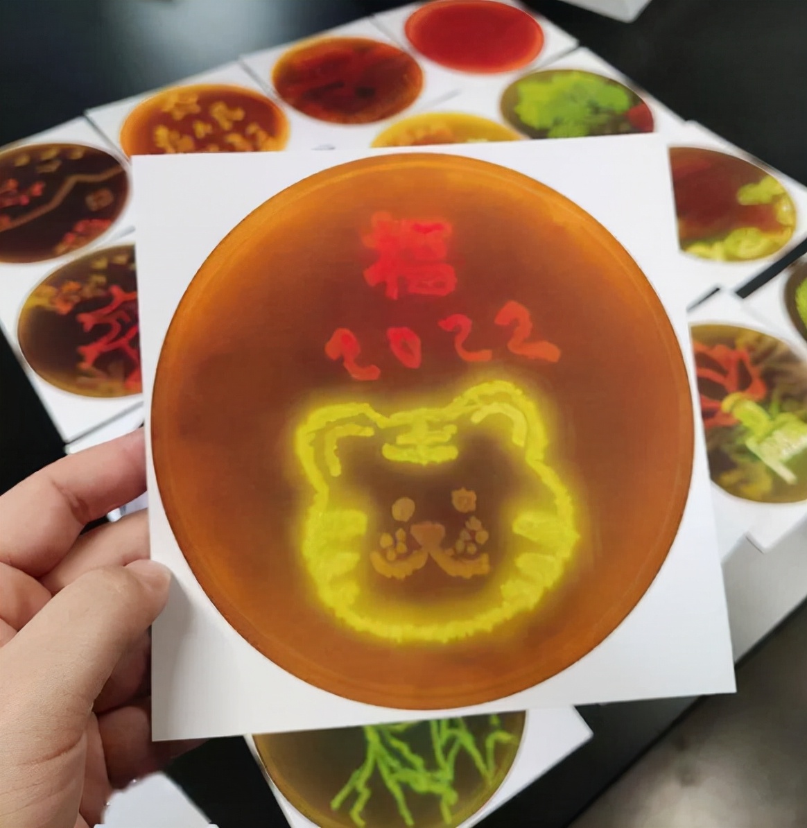 什么？天津高校的期末考试内容是画画，原材料使用的是微生物