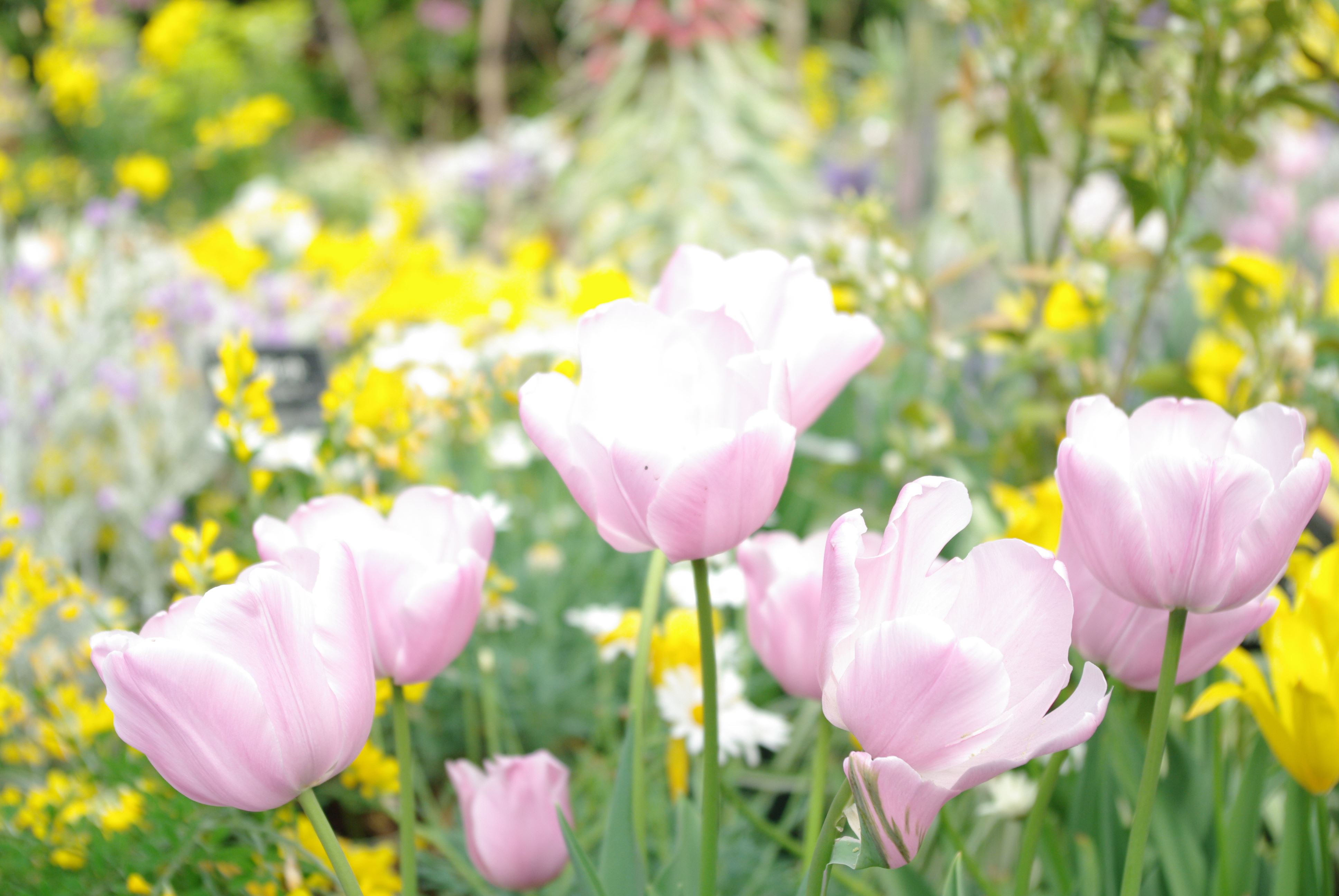 4月9日星座运势 突破瓶颈 委以重任的四大星座 天天看点