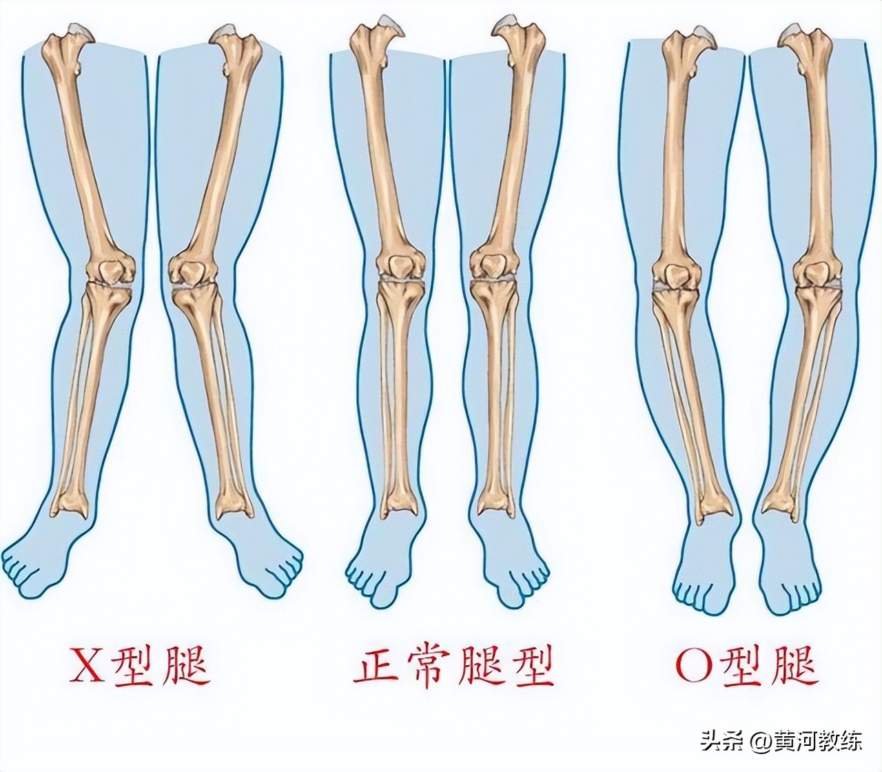 运动员一般几岁开始训练(乒乓球几岁可以开始学？)