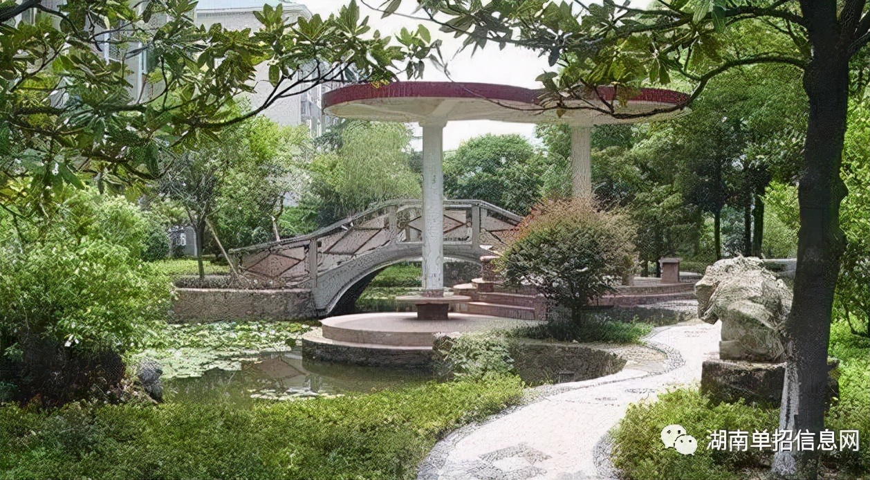 「招生简章」湖南2022年所有单招学校招生简章（持续更新中....）