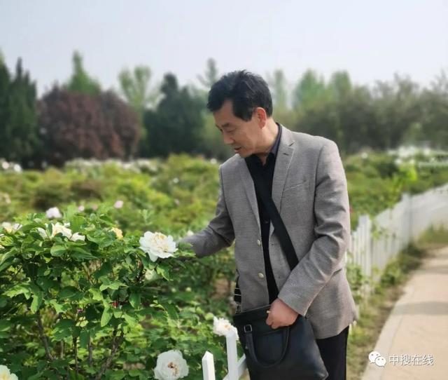 牡丹画家杨晓新其人其画 撰稿：张亚明