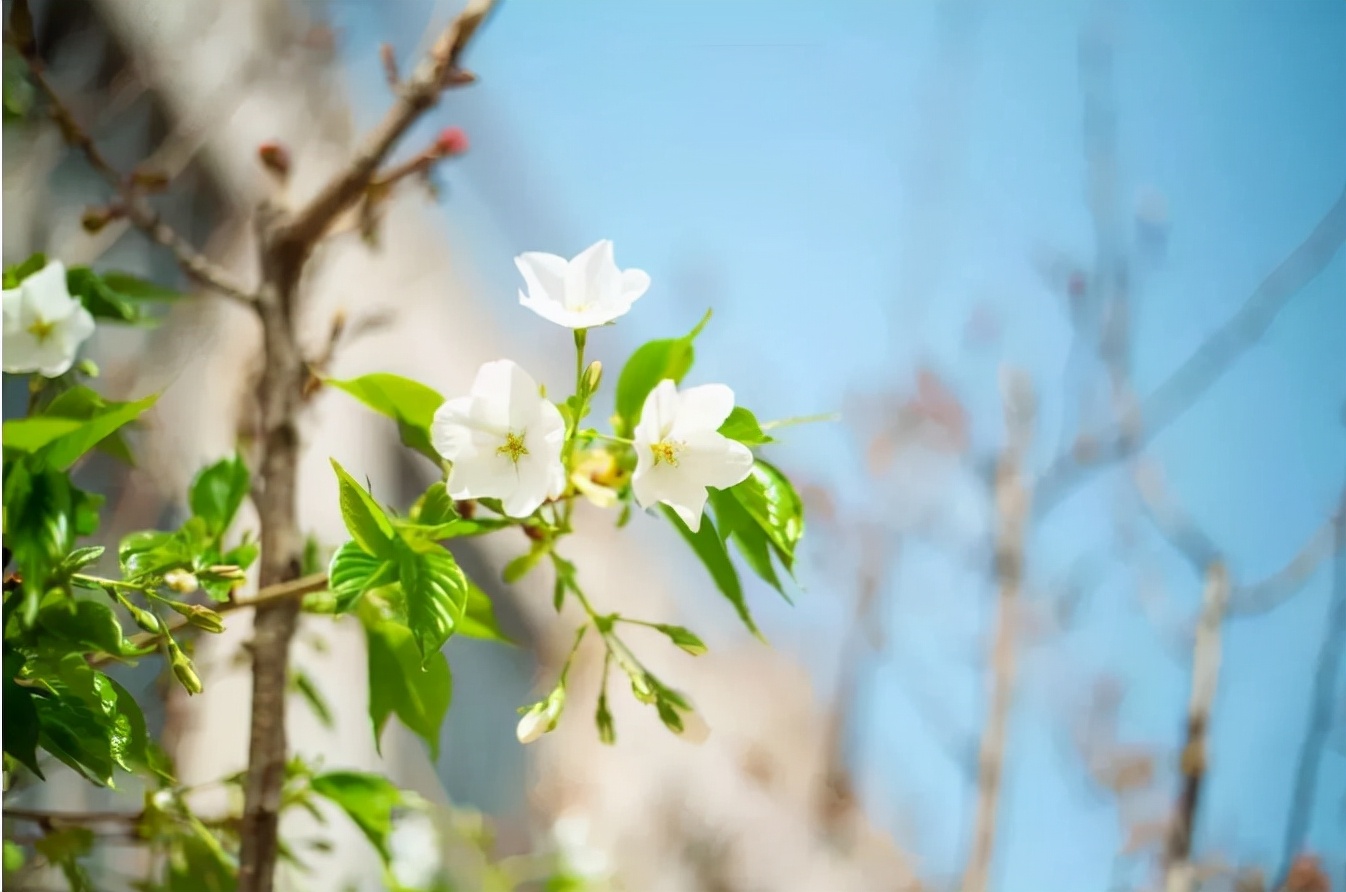 地铁双线直达，毗邻5A景区！陕西这所高颜值大学，“校花”云集