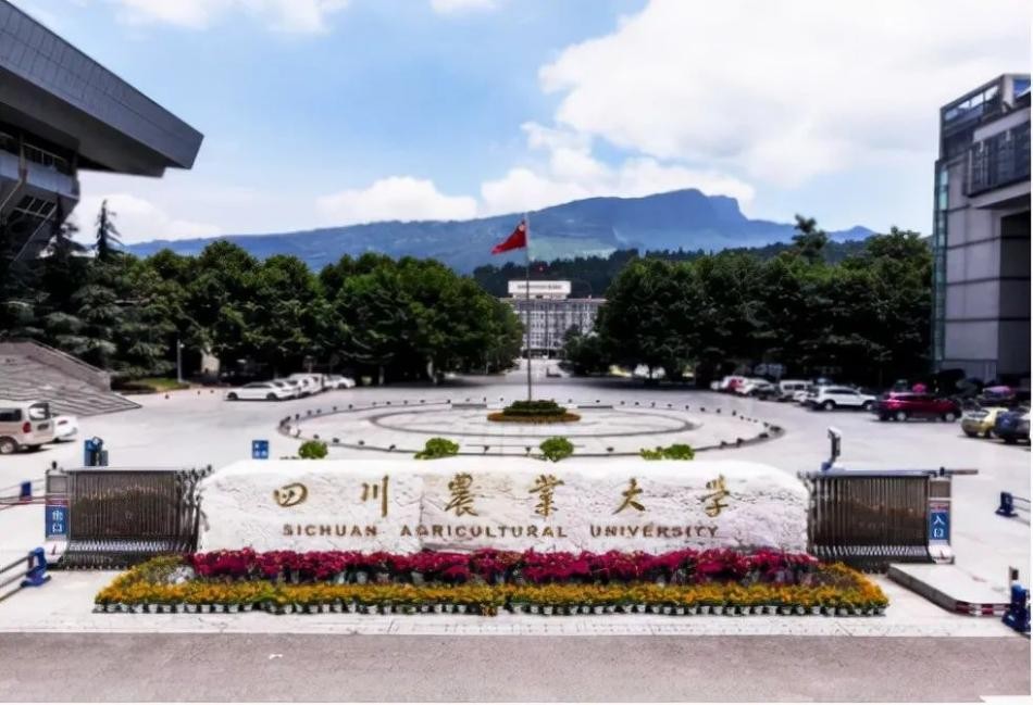 亲历中印冲突、执行特殊任务！四川12位学霸军人：来自特种作战旅、空军、海军