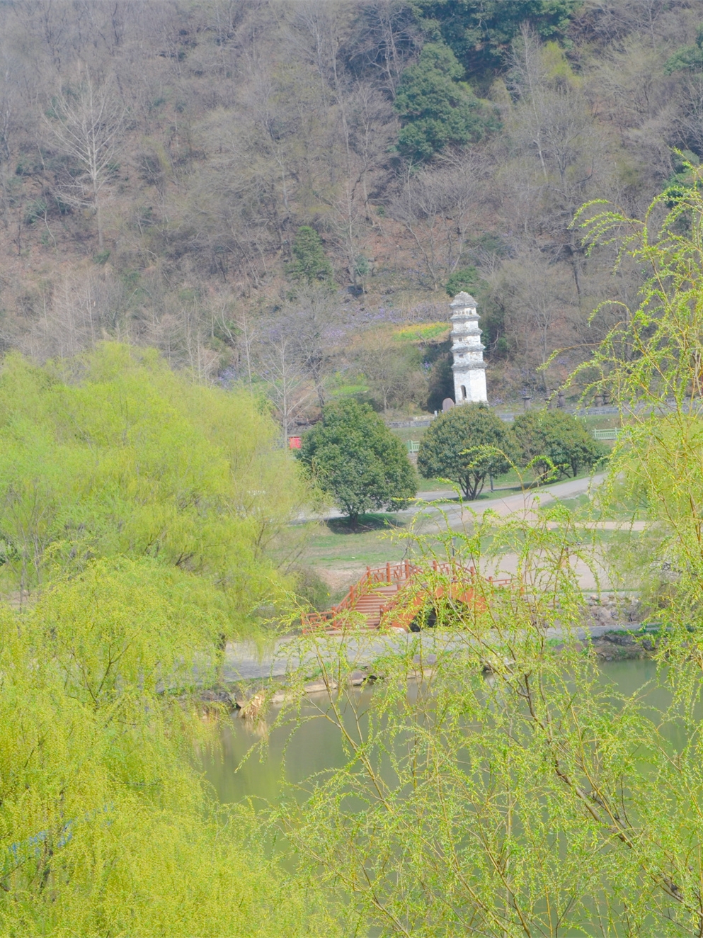 武汉自驾2H，打卡高山野樱花瀑布~花间漫步，自在山居，太浪漫