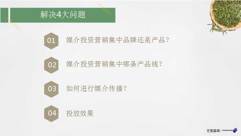 元气森林森林媒介投资规划PPT「食品饮料」「种草带货」