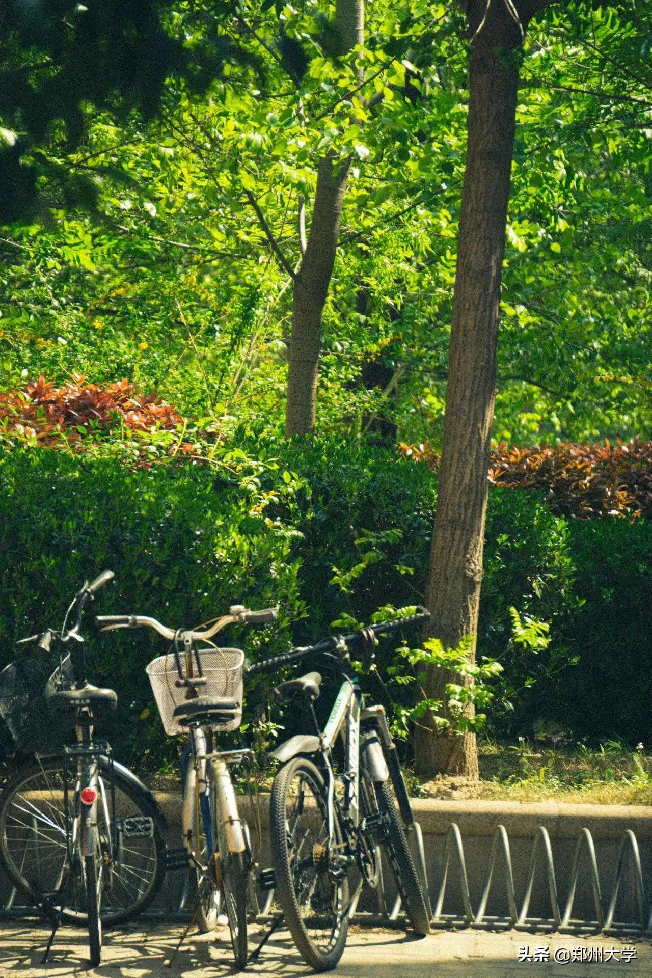 按下郑大快捷键，带你走进郑大生活！