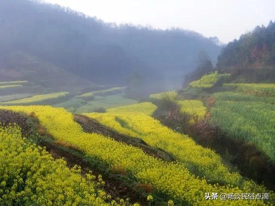 今日农历多少(天气预报：今天农历四月初八，天晴啥预兆？看看过去的农谚俗语)