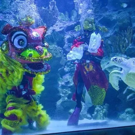 广州过年超详细游玩攻略!打扮漂亮出去玩(送票)