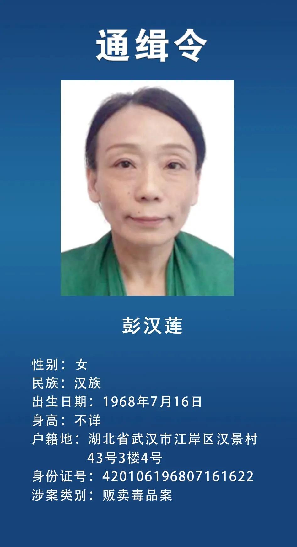 网上通缉犯,网上通缉犯怎么查