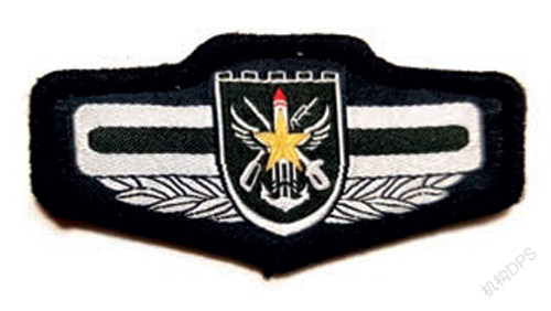 你没见过的红色徽章记忆