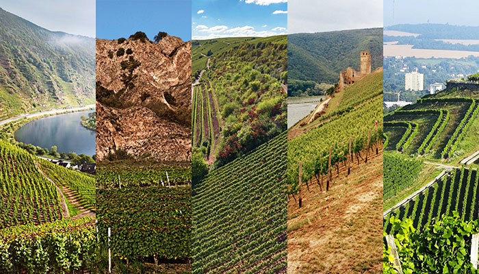 可闭眼入的德国3个产区6款雷司令