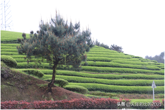 自駕游是跑高速好還是走國(guó)道好？