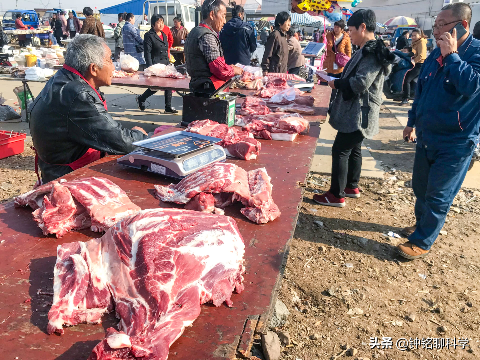 年猪不能随便杀！为啥有人杀猪卖肉被罚10万，有人杀年猪却没事？