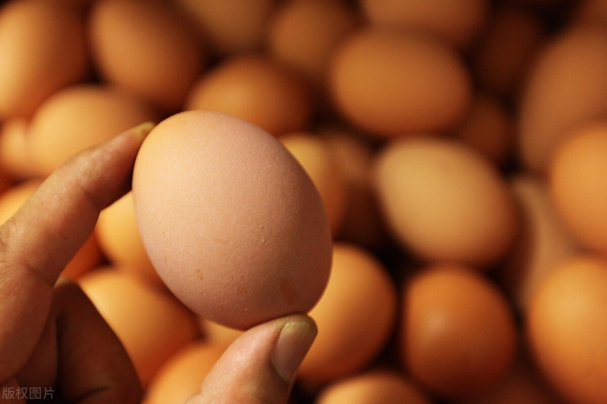 2022年4月26日 今日鸡蛋价格窄幅震荡