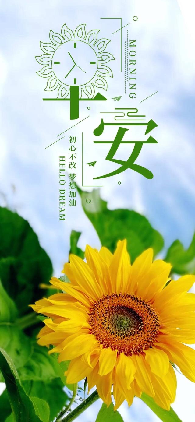 早安问候语 感恩,知足,微笑,简单开心快乐地度过每一天