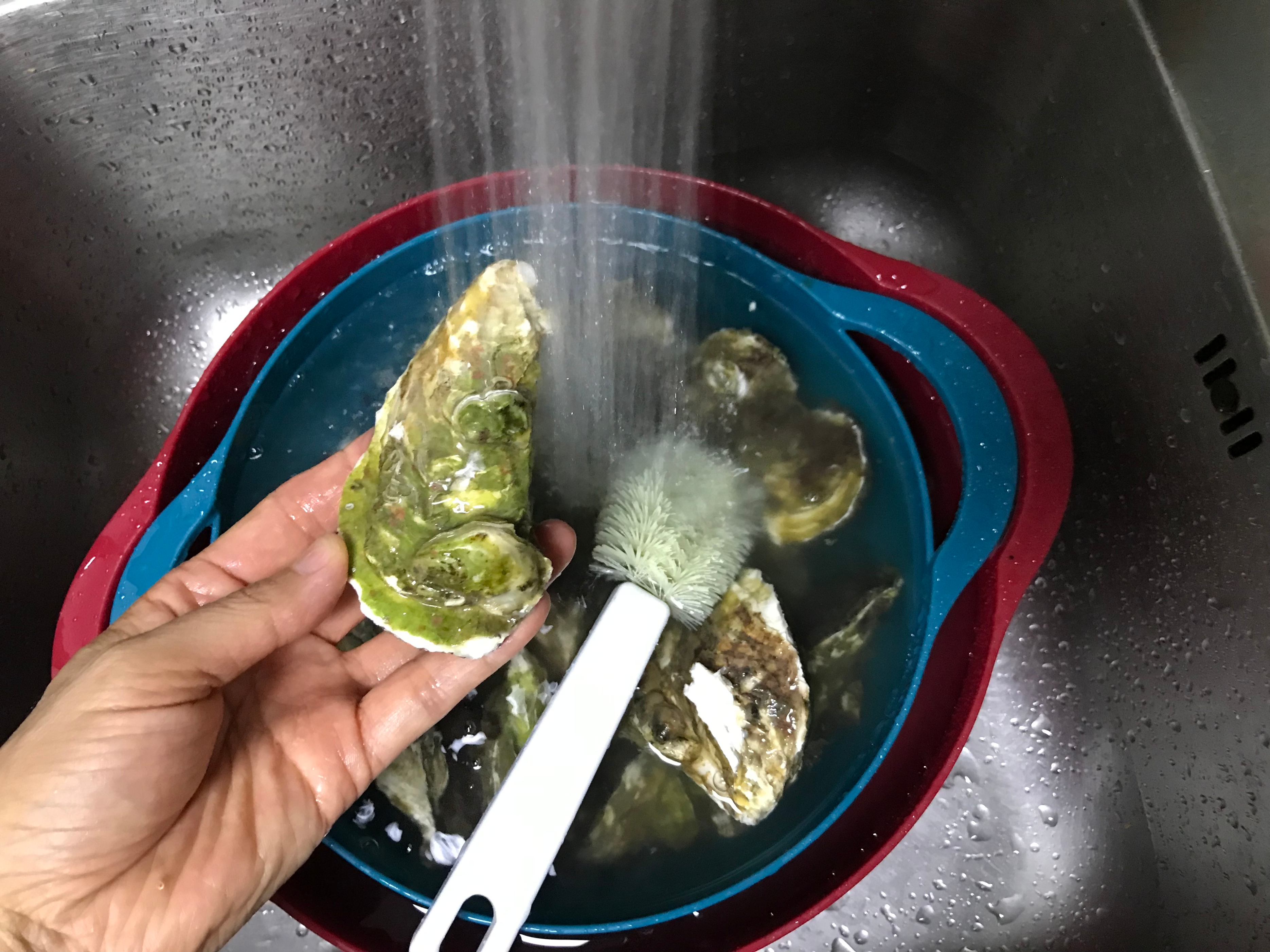 图片[4]-【清蒸生蚝】做法步骤图 味道鲜美又营养 别错过-起舞食谱网
