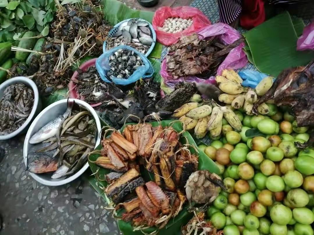 可怕的老挝野味市场,保护动物明码标价