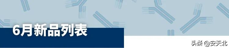 6月上市的经严格验证的全新抗体、试剂及试剂盒-伊诺凯