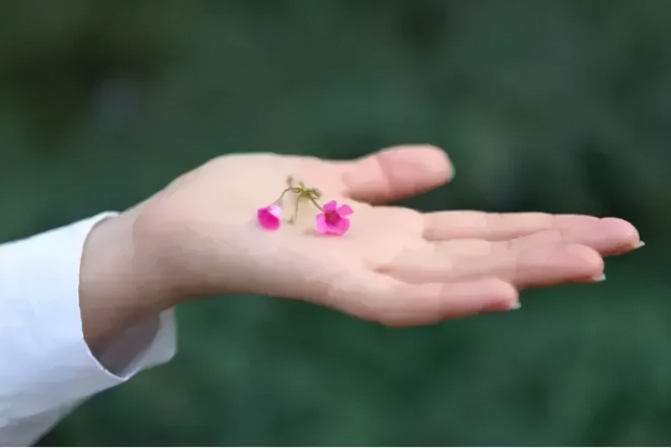 懂你的人和不懂你的人