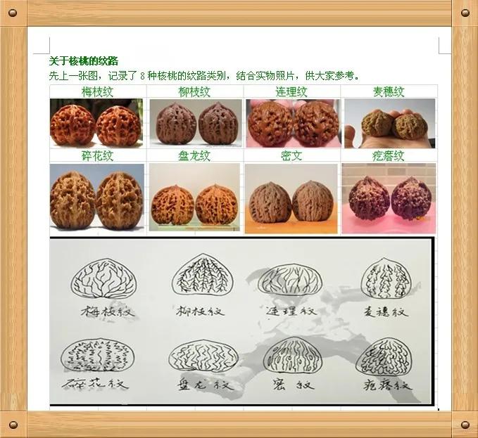 文玩核桃之四大名核
