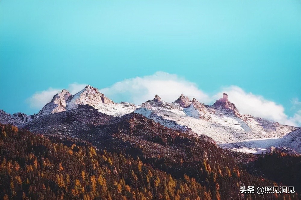 复旦“哲学王子”王德峰：真正的伟大属于心灵