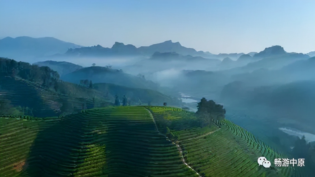 武夷山大红袍｜心灵随茶香弥漫，感受那空灵仙境的山涧茶旅