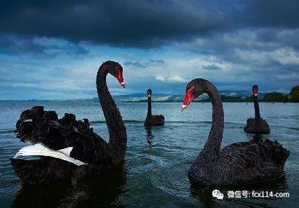 虚拟货币再敲警钟“币圈茅台”LUNA币暴跌，几百亿美元瞬间蒸发