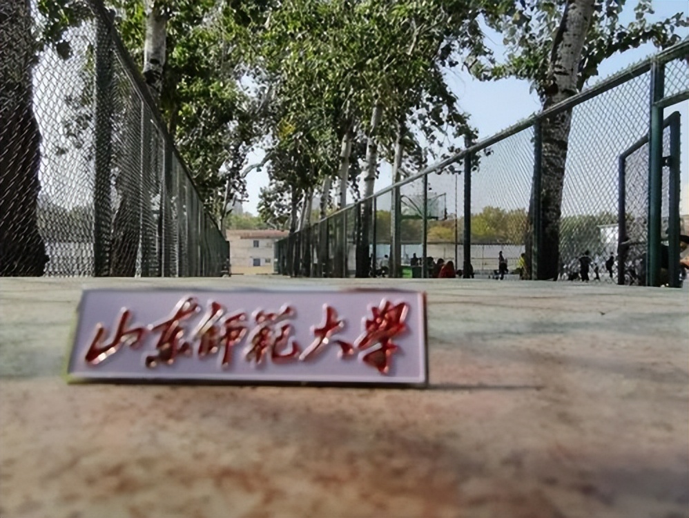 鲁东大学什么档次（鲁东大学什么档次江苏）-第4张图片-华展网