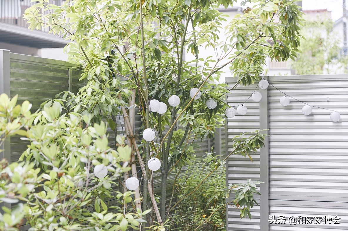 新婚夫妇的50㎡出租房改造 打造温馨小屋