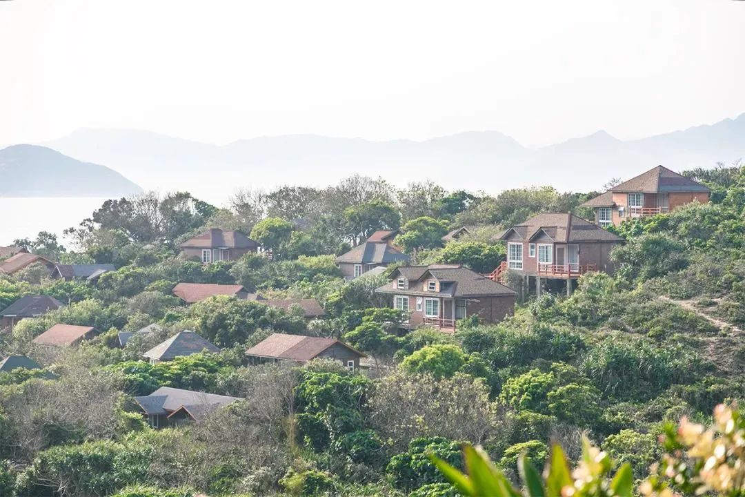 深圳打卡网红景点（深圳打卡网红景点夜景）-第5张图片-昕阳网