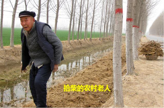 谁说农村是“脏乱差”的代表？看完本文，你的猜测也许就会转变了